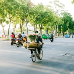 Hanoi in November: Weather, Packing Tips&hellip;