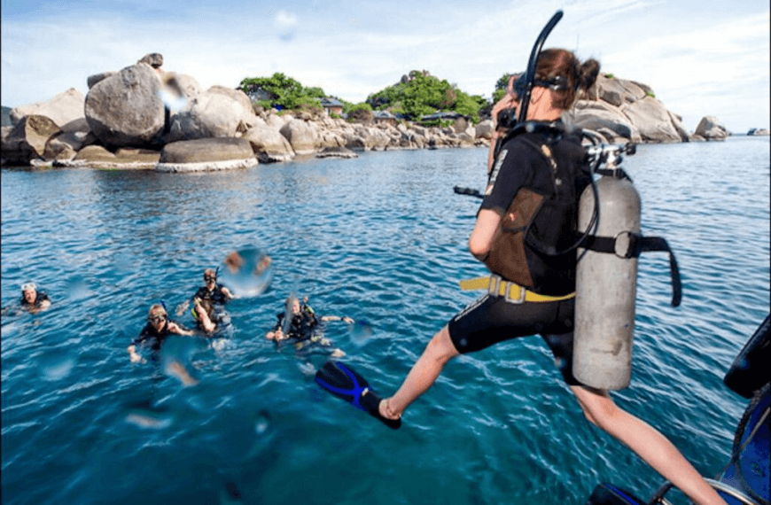 Top Things to Do in…