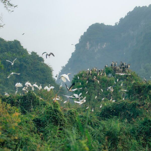 Ninh Binh in December: Weather, Scenery &&hellip;