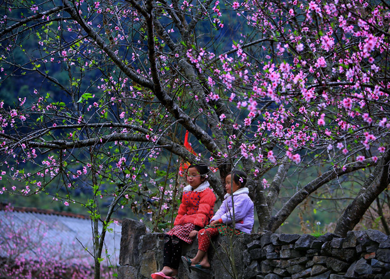 Ha Giang in February: Weather,…