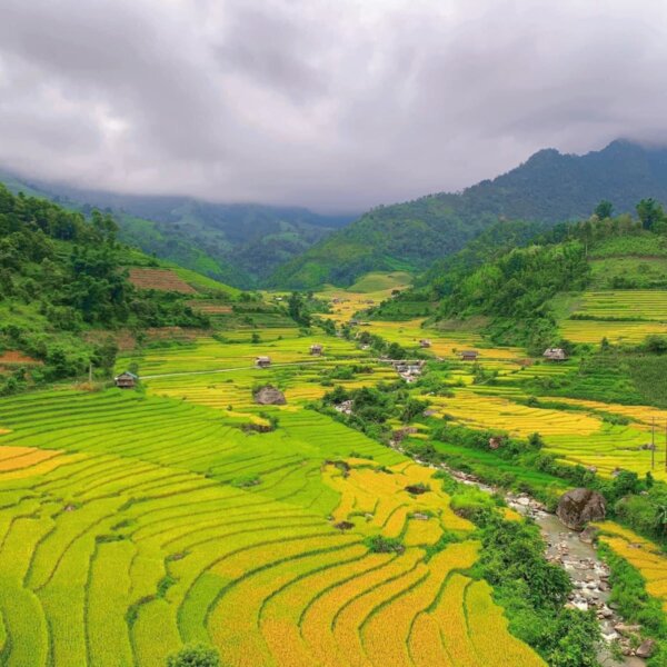 Sapa in August: Peak Rice Terraces, Rainy-Season&hellip;