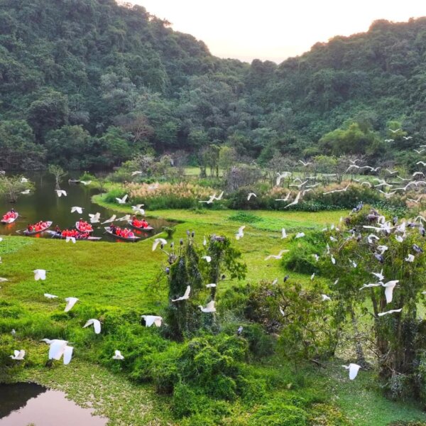 Ninh Binh in May: Weather, Landscape, and&hellip;