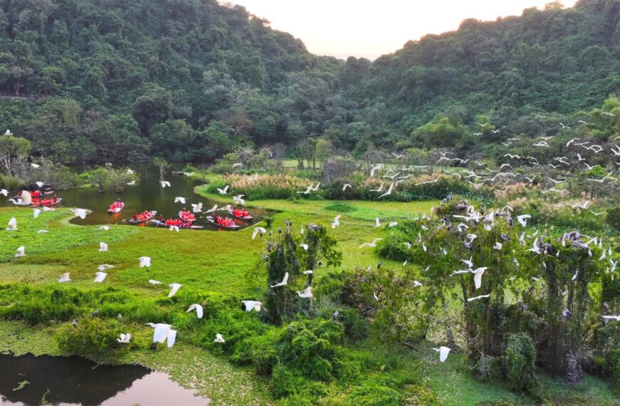 Ninh Binh in March: Weather,&hellip;
